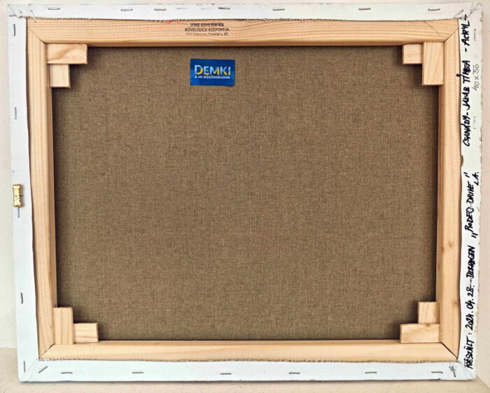 Rodeo Drive 40 x 50 b